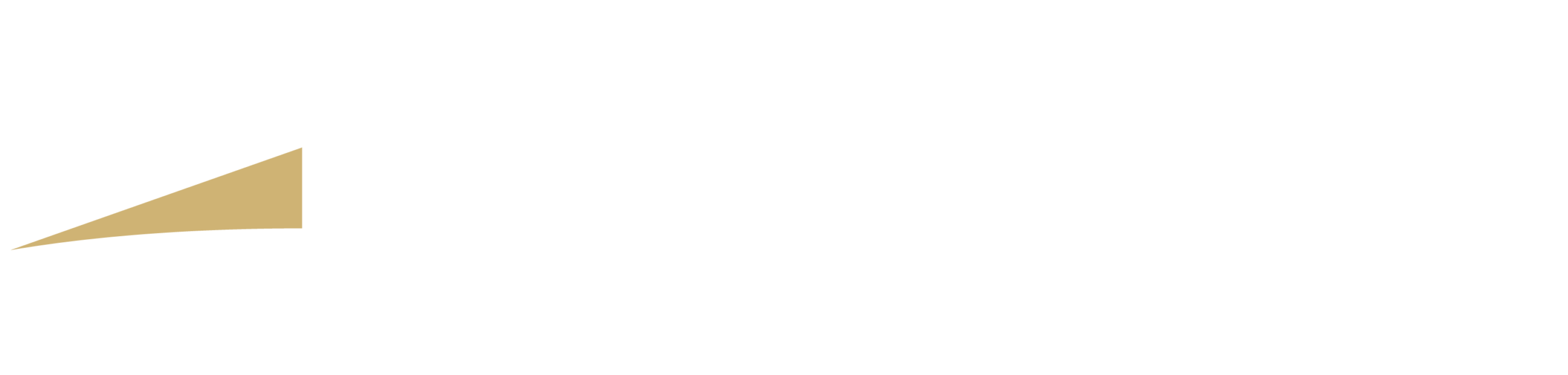 Nicola Antinori - Domo logo