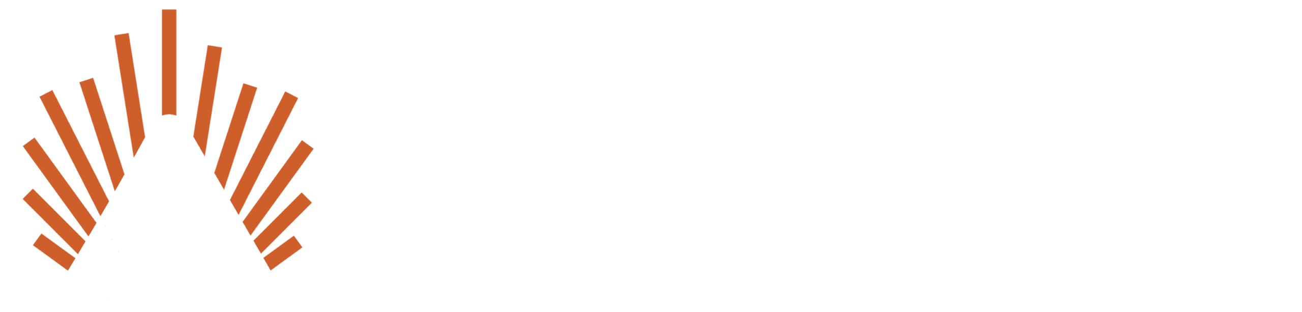 Nicola Antinori - Progetto Anthelios